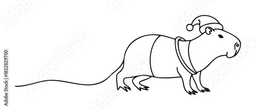 Cute capybara wearing a Santa hat and scarf for festive holiday celebrations and winter themed projects