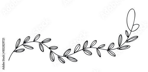 Black ink line drawing of a delicate botanical vine with leaves and a flourish for decorative accents in graphic communication and web page embellishments