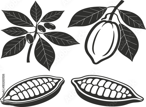Monochrome vector sketch set featuring Cacao plant, bean pod on branch, and sliced cocoa beans for chocolate, coffee, and botanical food design isolated on white