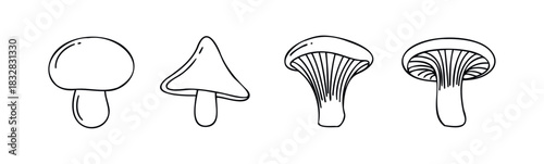A set of simple black and white outline drawings of different mushrooms perfect for various graphic design projects and educational materials.