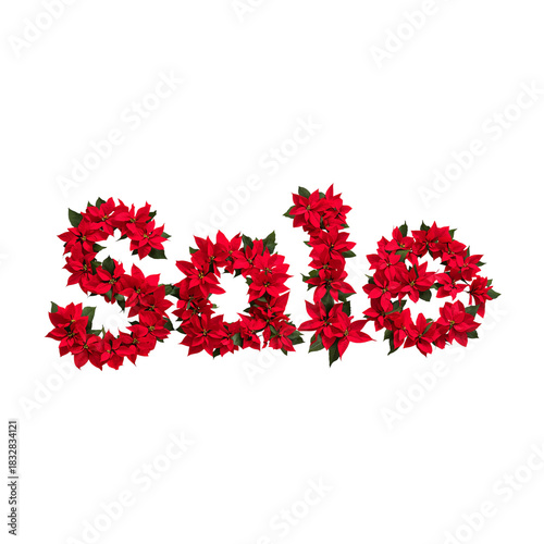 Holiday Sale Sign Made From Red Poinsettia Flowers on White Background