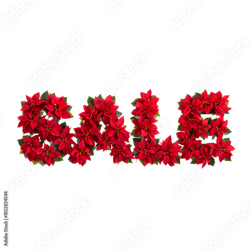 Holiday Floral Display Spelling Sale With Bright Red Flowers in a Festive Arr...