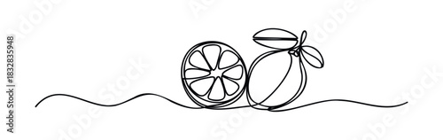 Simple line drawing of a citrus fruit slice and whole citrus fruit with leaves, perfect for food and beverage themes, refreshing concepts, and healthy lifestyle visuals.