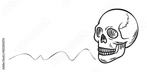 Stylized line drawing of a human skull on a white background with a wavy line emanating from it, perfect for symbolic representations of life and death or spooky themed projects.