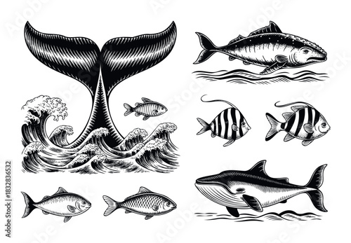Vintage woodcut style sea creatures including a whale tail with waves and various fish species suitable for nautical or ocean themed projects