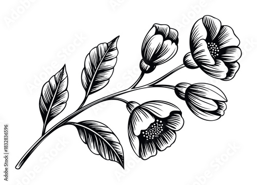 Botanical linocut style graphic featuring a blooming branch with leaves and flowers, ideal for invitations, stationery, and decorative projects