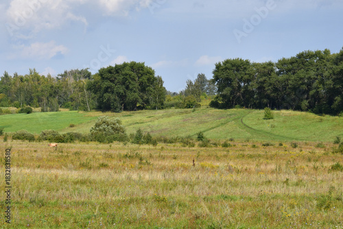 An August rural landscape in Russia