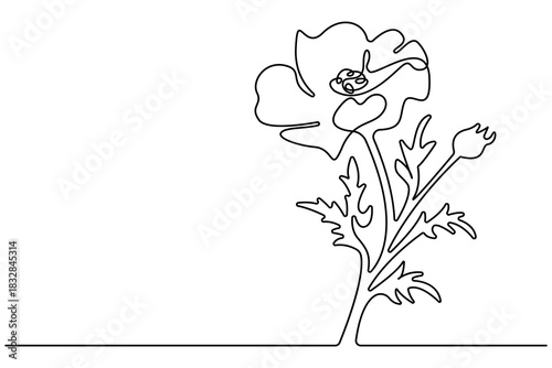 Poppy flower continuous one line drawing minimalist outline on white background.Poppy flower minimalist continuous one line drawing isolated outline vector illustration.