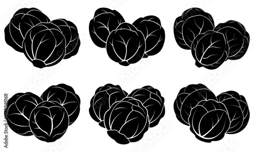 Fresh brussels sprouts clusters, perfect for healthy eating campaigns and creative cooking designs, showcasing nature's bounty in a modern style