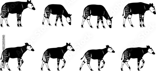 Okapi animal silhouettes, Okapi, Okapi silhouettes, Okapi animal, Okapi clipart, Okapi animal vector set