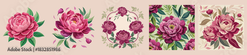 magenta peony Vector Set Collection: Botanical Floral Element Graphics with Wreath, Frame, Petals, and Seamless Pattern for Wedding, Valentine's Day, and Design
