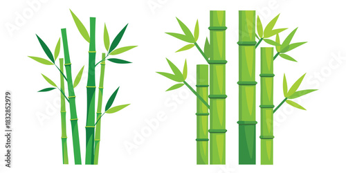 Two bamboo stalks with green leaves on a white background, nature and asian style illustration

