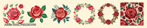 Crimson Red Rose Vector Set Collection: Botanical Floral Element Graphics with Wreath, Frame, Petals, and Seamless Pattern for Wedding, Valentine's Day, and Design