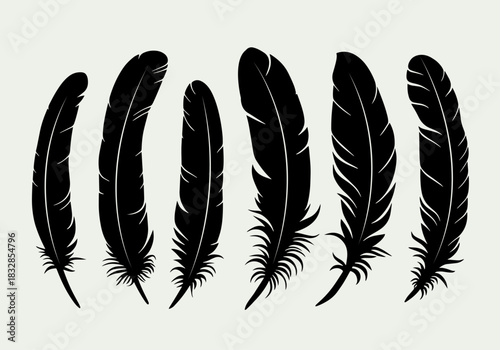 Feather silhouette vector illustrations representing various bird plumage textures, ideal for decorative design, tattoo concepts or symbolic graphics related to freedom, spirituality or flight.