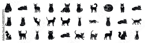 A set of black cat silhouettes in various poses and breeds. Ideal for veterinary clinics, pet shops, animal shelters, and Halloweenthemed projects.