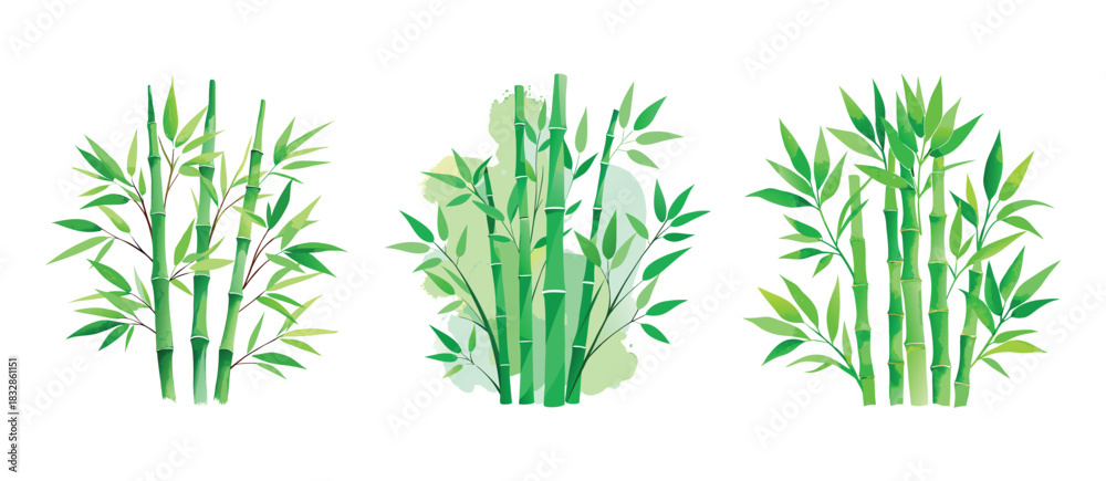 Naklejka premium Three watercolor bamboo stalks with lush green leaves in a serene and natural arrangement 