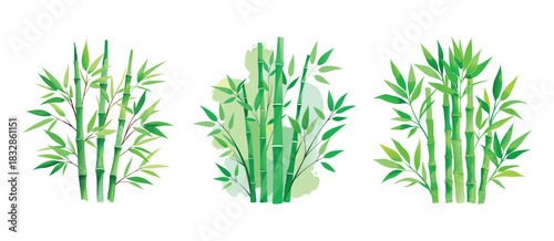 Three watercolor bamboo stalks with lush green leaves in a serene and natural arrangement
