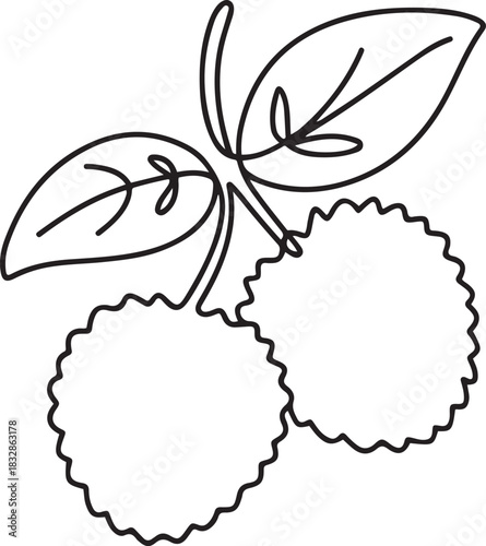 lychee fruit continuous one line drawing, Fresh summer fruitage concept for fruit garden icon. Modern one line draw design vector graphic. one line Icon drawing