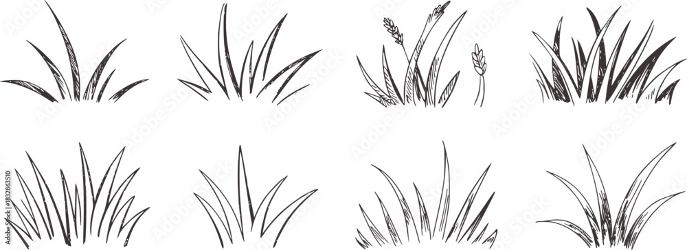 Obraz premium Eight black and white sketch illustrations of grass tufts