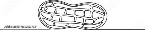 One single line drawing of whole healthy organic peanut for farm logo identity, Abstract Walnut Beans Peanuts, continuous single one line art hand drawing sketch logo. one line Icon drawing