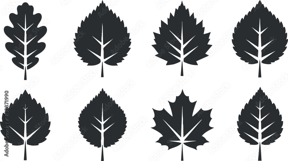 Fototapeta premium Stylized black silhouette vector icon set featuring various leaf designs for nature-themed projects and illustrations