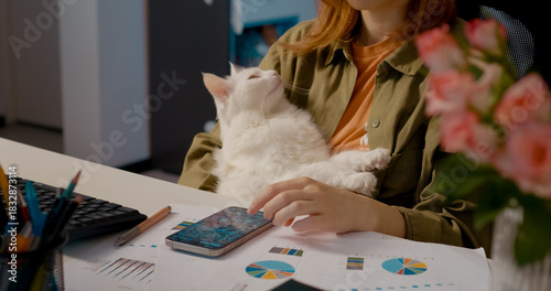 Professional businesswoman momentarily pausing from work, gently petting soft white cat while scrolling social media near computer workspace during relaxing break