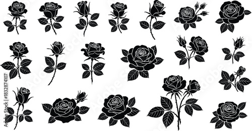 Collection of various black and white rose flower silhouettes and drawings