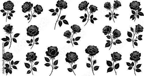 Collection of various black and white rose flower silhouettes and botanical drawings