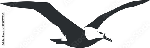 Minimalist black and white vector illustration of an eagle in flight, ideal for logo design and nature-themed projects