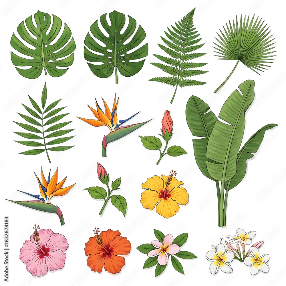 Naklejka premium Hand Drawn Botanical Flowers and Leaves Set – Roses, Sunflowers, Hydrangea, Marigold, Monstera Vector Illustration