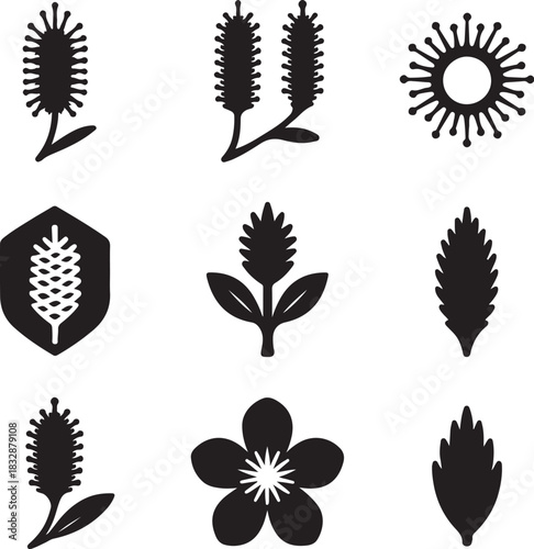 Melaleuca Flower (Hoa Tram) Silhouette Icon Set ? 8 Designs.eps