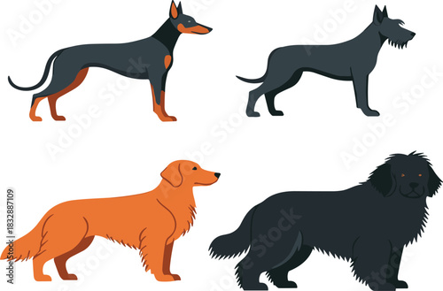 Four stylized dog breeds Doberman Pinscher Great Dane Golden Retriever Newfoundland