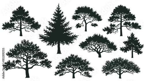 A diverse collection of black tree silhouettes, featuring various species like pine and oak, isolated on a white background.