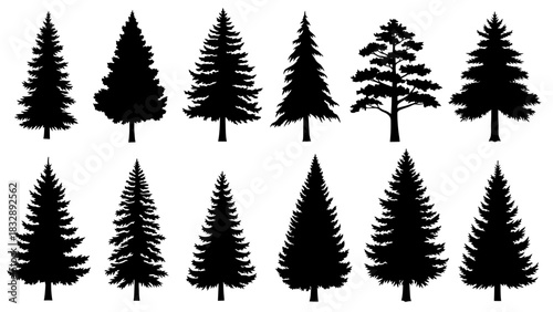 Collection of various silhouettes of evergreen trees, showcasing different shapes and textures.