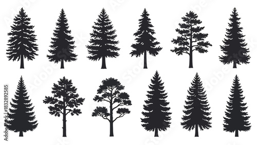Silhouette collection of various evergreen trees, including pine, fir, and spruce trees.