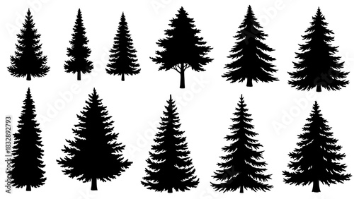 A collection of silhouette images of various evergreen trees, showcasing different shapes and sizes.