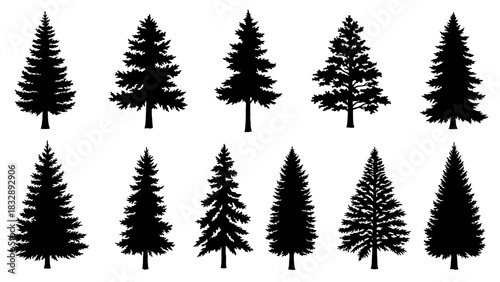 A collection of ten black silhouettes of various evergreen pine and fir trees against a white background, showcasing different shapes and densities.