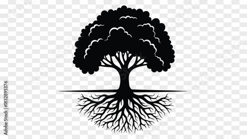 Silhouette of a majestic tree with intricate roots representing growth and resilience
