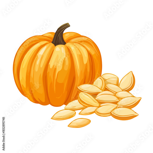 An Imaginary 2D flat icon pumpkin seeds group, modern element in vector and EPS format_clean vector_isolated on a white background, An Icon clipart set