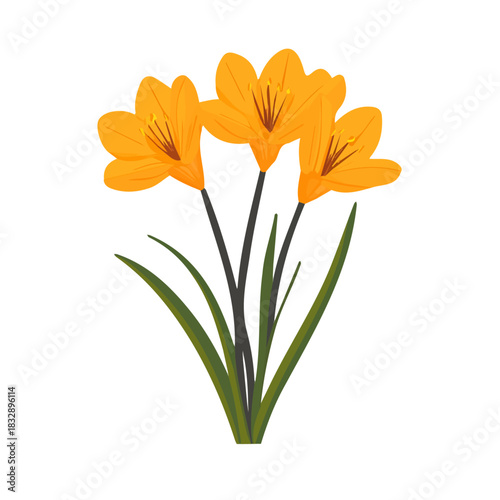 modern element in vector and EPS format_clean vector_isolated on a white background, An Icon clipart set, An Imaginary 2D flat icon saffron flowers