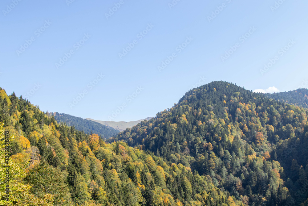 Obraz premium Forested mountain landscape with autumn foliage, clear blue sky and distant peak in bright daylight