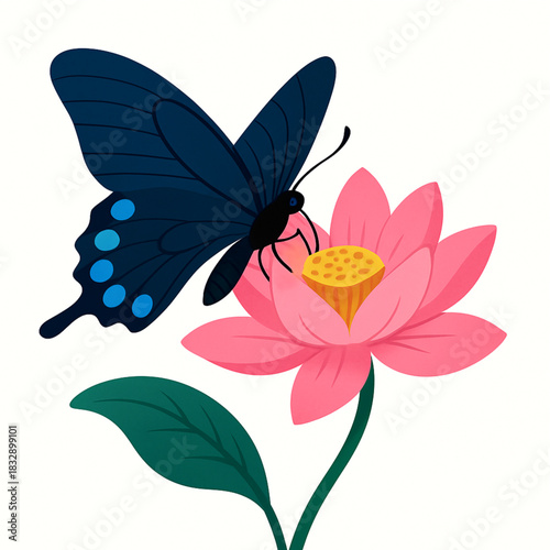 Minimalist and vibrant vector collection of different butterfly species sitting on spring and summer flowers. Flat design for digital projects, greeting cards, and nature-themed graphics.