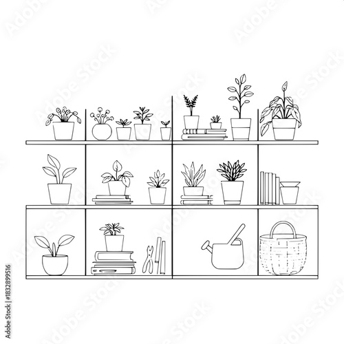Minimalist interior design line drawing of a sleek shelving unit with clean lines and simple shapes, organized with a variety of potted plants with delicate leaves and slender stems, stacked books wit