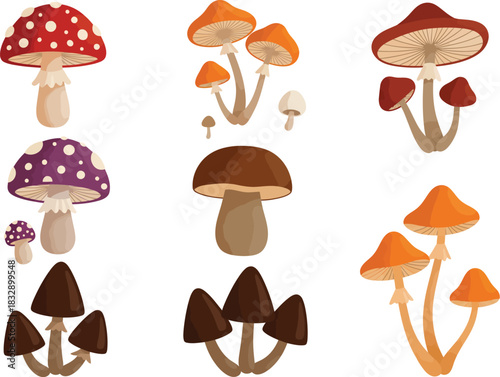 Collection of whimsical colorful and diverse mushroom illustrations in a variety of shapes and sizes