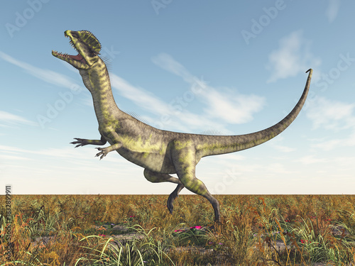 Dinosaurier Dilophosaurus in einer Landschaft