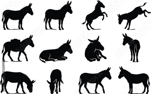 Donkey and Mule Silhouette Collection Diverse Set of Farm Animal Poses, Equine Icons, Stable Livestock Stencils, and Various Black Domestic Animal Vector Graphics.