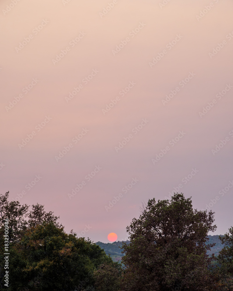 Fototapeta premium Clean Background Of Sunset Sky Gradient Over Forest