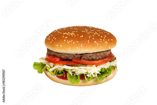 Burger isolated on a white background. Fast and tasty food.