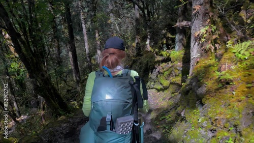 Woman hiker with backpack and trekking poles on narrow trail. Lush rainforest path at Manaslu trek in Nepal. Medium close up.