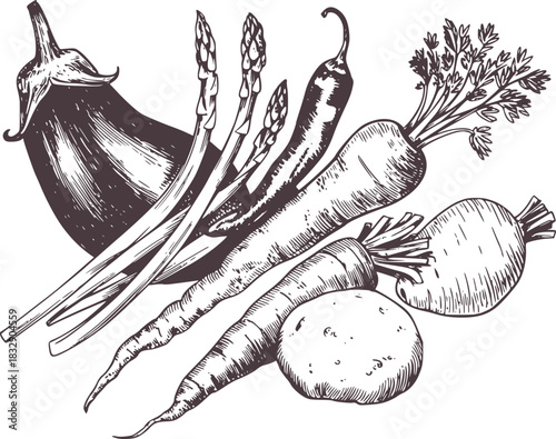 Black and white ink illustration of assorted vegetables